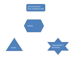 UN ECOSISTEMA
        ESTA FORMADO POR




        GATOS




                           COMUNIDAD Y
ALGAS                      BIOTOPOS
 
