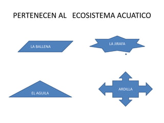 PERTENECEN AL ECOSISTEMA ACUATICO


                      LA JIRAFA
    LA BALLENA




                           ARDILLA
    EL AGUILA
 