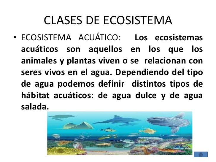 El ecosistema