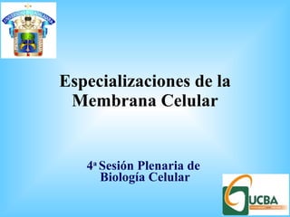 Especializaciones de la Membrana Celular 4 a  Sesión Plenaria de  Biología Celular 