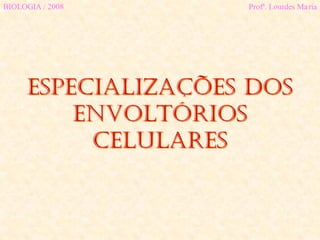 Especializações dOS
ENVOLTÓRIOS
CELULARES
BIOLOGIA / 2008 Profª. Lourdes Maria
 