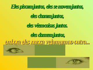Eles piscam juntos, eles se movem juntos,  eles choram juntos,  eles vêem coisas juntos.  eles dormem juntos, embora eles nunca vejam um ao outro...   
