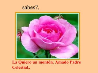 sabes?,  La Quiero un montón .  Amado Padre Celestial , . 