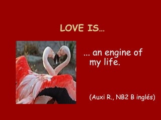 Especial San Valentin en la EOI de Córdoba