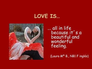 Especial San Valentin en la EOI de Córdoba