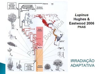 IRRADIAÇÃO ADAPTATIVA 