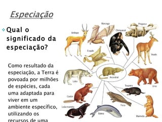 Qual o significado da especiação? Como resultado da especiação, a Terra é povoada por milhões de espécies, cada uma adaptada para viver em um ambiente específico, utilizando os recursos de uma forma particular. 