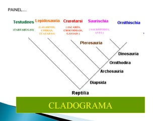 (TARTARUGAS) (LAGARTOS, COBRAS, TUATARAS) ( JACARÉS, CROCODILOS, GAVIAIS ) ( SAURÓPODES, AVES ) CLADOGRAMA PAINEL.... 
