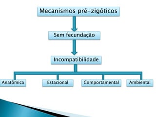 Mecanismos pré-zigóticos
Sem fecundação
Incompatibilidade
Anatômica Estacional Comportamental Ambiental
 