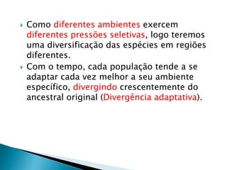  Como diferentes ambientes exercem
diferentes pressões seletivas, logo teremos
uma diversificação das espécies em regiões
diferentes.
 Com o tempo, cada população tende a se
adaptar cada vez melhor a seu ambiente
específico, divergindo crescentemente do
ancestral original (Divergência adaptativa).
 
