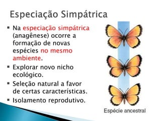  Na especiação simpátrica
(anagênese) ocorre a
formação de novas
espécies no mesmo
ambiente.
 Explorar novo nicho
ecológico.
 Seleção natural a favor
de certas características.
 Isolamento reprodutivo.
 