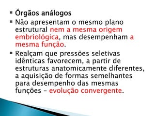  Órgãos análogos
 Não apresentam o mesmo plano
estrutural nem a mesma origem
embriológica, mas desempenham a
mesma função.
 Realçam que pressões seletivas
idênticas favorecem, a partir de
estruturas anatomicamente diferentes,
a aquisição de formas semelhantes
para desempenho das mesmas
funções – evolução convergente.
 