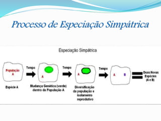 Processo de Especiação Simpátrica
 
