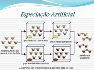 Especiação Artificial
 