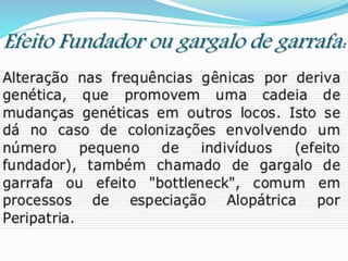 Efeito Fundador ou gargalo de garrafa:
 