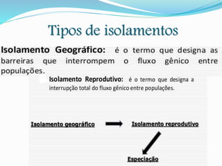 Tipos de isolamentos
 