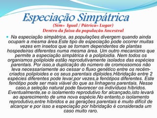 Especiação Simpátrica
 Na especiação simpátrica, as populações divergem quando ainda
ocupam a mesma área.Este tipo de especiação pode ocorrer muitas
vezes em insetos que se tornam dependentes de plantas
hospedeiras diferentes numa mesma área. Um outro mecanismo que
permite a especiação simpátrica é a poliploidia. Nem todos os
organismos poliploide estão reprodutivamente isolados das espécies
parentais. Por isso,a duplicação do número de cromossomos não
leva necessariamente ao cessar o fluxo genético entre os recém-
criados poliploides e os seus parentais diploides.Hibridação entre 2
espécies diferentes pode levar,por vezes,a fenótipos diferentes. Este
fenótipo pode ser mais viável do que as linhagens parentais. Nesse
caso,a seleção natural pode favorecer os indivíduos híbridos.
Eventualmente,se o isolamento reprodutivo for alcançado,isto levará
ao aparecimento de uma nova espécie.No entanto,o isolamento
reprodutivo,entre híbridos e as gerações parentais é muito difícil de
alcançar e por isso a especiação por hibridação é considerada um
caso muito raro.
(Sim= Igual / Pátrica= Lugar)
Dentro da faixa da população Ancestral
 