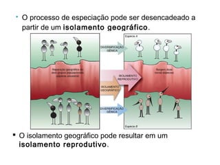    O processo de especiação pode ser desencadeado a
    partir de um isolamento geográfico.




 O isolamento geográfico pode resultar em um
  isolamento reprodutivo .
 