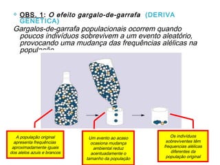    OBS. 1: O efeito gargalo-de-garrafa (DERIVA
     GENÉTICA)
 Gargalos-de-garrafa populacionais ocorrem quando
  poucos indivíduos sobrevivem a um evento aleatório,
  provocando uma mudança das frequências alélicas na
  população.




   A população original       Um evento ao acaso       Os indivíduos
  apresenta frequências        ocasiona mudança      sobreviventes têm
 aproximadamente iguais         ambiental reduz     frequencias alélicas
dos alelos azuis e brancos     acentuadamente o         diferentes da
                             tamanho da população    população original
 