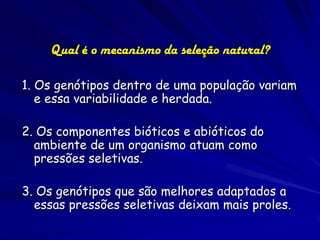 Qual é o mecanismo da seleção natural?

1. Os genótipos dentro de uma população variam
   e essa variabilidade e herdada.

2. Os componentes bióticos e abióticos do
  ambiente de um organismo atuam como
  pressões seletivas.

3. Os genótipos que são melhores adaptados a
  essas pressões seletivas deixam mais proles.
 