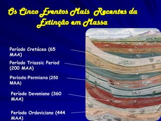 Os Cinco Eventos Mais Recentes da
        Extinção em Massa

Período Cretáceo (65
MAA)
Período Triassic Period
(200 MAA)

Período Permiano (250
MAA)

Período Devoniano (360
MAA)


Período Ordoviciano (444
MAA)
 