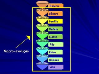 Espécie

                 Gênero

                 Família


                 Ordem

                 Classe

                 Filo

Macro-evolução   Reino

                 Domínio

                 vida
 