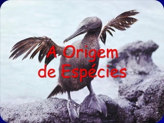A Origem
de Espécies
 