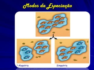 Modos da Especiação




Alopatria        Simpatria
 