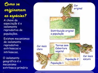 Como se                                                 Cor
                                                         original
 originaram
 as espécies?
A chave da
especiação é o
isolamento
reprodutivo de                   Distribuição original
populações.                      a população

Existem mecanismos
de isolamento
reprodutivo           Cor mais       Terras sem
extrínsecos e         claro          Cobertura
intrínsecos.                         vegetal

                                                                    Cor mais
O isolamento                                   População 2          escuro
geográfico é o
                                 População 1
mecanismo
extrínseco primário
.
 