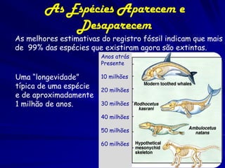As Espécies Aparecem e
            Desaparecem
As melhores estimativas do registro fóssil indicam que mais
de 99% das espécies que existiram agora são extintas.
                        Anos atrás
                        Presente

Uma “longevidade”       10 milhões
típica de uma espécie   20 milhões
e de aproximadamente
1 milhão de anos.       30 milhões

                        40 milhões

                        50 milhões

                        60 milhões
 