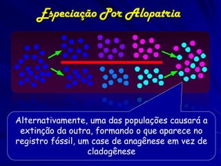Especiação Por Alopatria




Alternativamente, uma das populações causará a
 extinção da outra, formando o que aparece no
registro fóssil, um case de anagênese em vez de
                   cladogênese
 