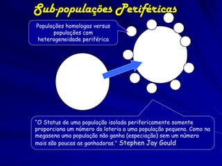 Sub-populações Periféricas
Populações homologas versus
      populações com
heterogeneidade periférica




“O Status de uma população isolada perifericamente somente
proporciona um número da loteria a uma população pequena. Como na
megasena uma população não ganha (especiação) sem um número
mais são poucas as ganhadoras." Stephen Jay Gould
 