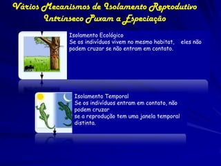 Vários Mecanismos de Isolamento Reprodutivo
       Intrínseco Puxam a Especiação
             Isolamento Ecológico
             Se os indivíduos vivem no mesmo habitat,        eles não
             podem cruzar se não entram em contato.

            (different habits within an overlapping range)




               Isolamento Temporal
               Se os indivíduos entram em contato, não
               podem cruzar
               se a reprodução tem uma janela temporal
               distinta.
 