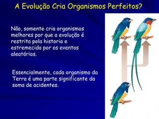 A Evolução Cria Organismos Perfeitos?


Não, somente cria organismos
melhores por que a evolução é
restrita pela historia e
estremecida por os eventos
aleatórios.


Essencialmente, cada organismo da
Terra é uma parte significante da
soma de acidentes.
 