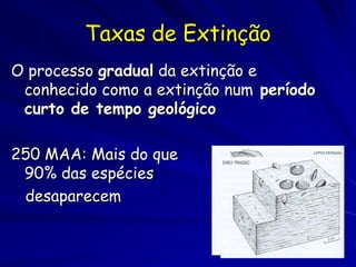 Taxas de Extinção
O processo gradual da extinção e
 conhecido como a extinção num período
 curto de tempo geológico

250 MAA: Mais do que
 90% das espécies
 desaparecem
 