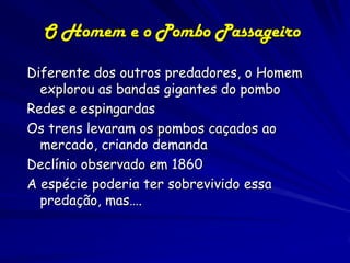 O Homem e o Pombo Passageiro

Diferente dos outros predadores, o Homem
  explorou as bandas gigantes do pombo
Redes e espingardas
Os trens levaram os pombos caçados ao
  mercado, criando demanda
Declínio observado em 1860
A espécie poderia ter sobrevivido essa
  predação, mas….
 