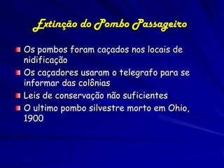 Extinção do Pombo Passageiro

Os pombos foram caçados nos locais de
nidificação
Os caçadores usaram o telegrafo para se
informar das colônias
Leis de conservação não suficientes
O ultimo pombo silvestre morto em Ohio,
1900
 