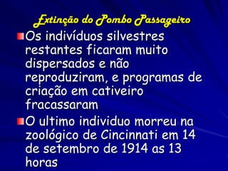 Extinção do Pombo Passageiro
Os indivíduos silvestres
restantes ficaram muito
dispersados e não
reproduziram, e programas de
criação em cativeiro
fracassaram
O ultimo individuo morreu na
zoológico de Cincinnati em 14
de setembro de 1914 as 13
horas
 