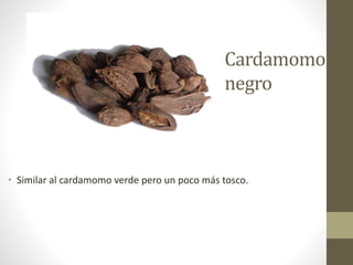 Cardamomo
negro
• Similar al cardamomo verde pero un poco más tosco.
 
