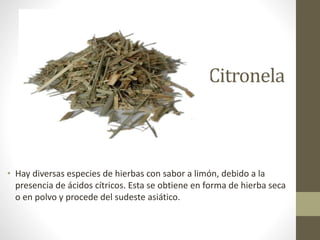 Citronela
• Hay diversas especies de hierbas con sabor a limón, debido a la
presencia de ácidos cítricos. Esta se obtiene en forma de hierba seca
o en polvo y procede del sudeste asiático.
 