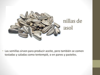 semillas de
Girasol
• Las semillas sirven para producir aceite, pero también se comen
tostadas y saladas como tentempié, o en panes y pasteles.
 