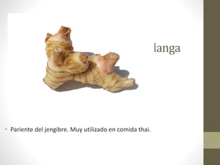 Galanga
• Pariente del jengibre. Muy utilizado en comida thai.
 