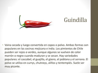 Guindilla
• Vaina secada y luego convertida en copos o polvo. Ambas formas son
populares en las cocinas mejicana e india. Los pimientos de Chile
pueden ser rojos o verdes, aunque algunos se vuelven de color
marrón o negro cuando maduran y se secan. Hay variedades
populares: el cascabel, el guajillo, el güero, el poblana y el serrano. El
polvo se utiliza en currys, chutneys, aliños y tentempiés. Suele ser
muy picante.
 