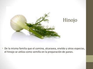 Hinojo
• De la misma familia que el comino, alcaravea, eneldo y otras especias,
el hinojo se utiliza como semilla en la preparación de panes.
 