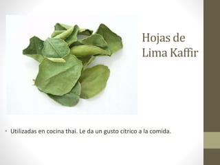 Hojas de
Lima Kaffir
• Utilizadas en cocina thai. Le da un gusto cítrico a la comida.
 