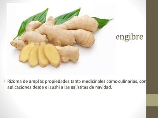 Jengibre
• Rizoma de amplias propiedades tanto medicinales como culinarias, con
aplicaciones desde el sushi a las galletitas de navidad.
 
