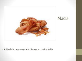 Macis
• Arilo de la nuez moscada. Se usa en cocina india.
 