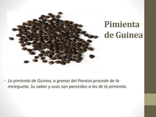 Pimienta
de Guinea
• La pimienta de Guinea, o granos del Paraíso procede de la
melegueta. Su sabor y usos son parecidos a los de la pimienta.
 