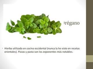Orégano
• Hierba utilizada en cocina occidental (nunca la he visto en recetas
orientales). Pizzas y pasta son los exponentes más notables.
 