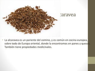 Alcaravea
• La alcaravea es un pariente del comino, y es común en cocina europea,
sobre todo de Europa oriental, donde la encontramos en panes y quesos.
También tiene propiedades medicinales.
 